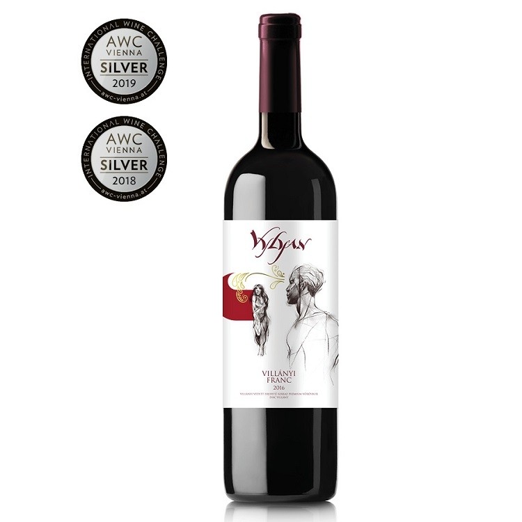 Vin Rosu Sec Vylyan Cabernet Franc 2016