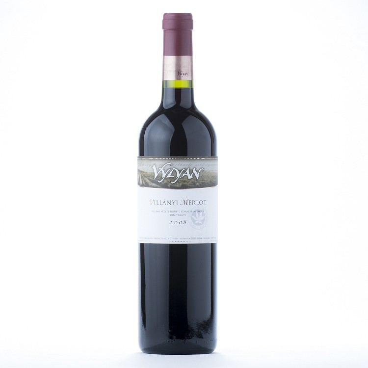 Vin Rosu Sec Vylyan Merlot 2018