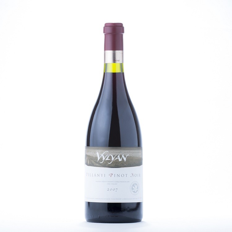 Vin Rosu Sec Vylyan Pinot Noir 2007