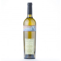 Vin Alb Sec Garboiu Sauvignon Blanc 2013