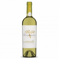 Vin Alb Sec Viile Metamorfosis Muscat Ottonel & Tamaioasa Romaneasca 2013