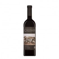 Vin Rosu Sec Crama Oprisor Caloian Cabernet Sauvignon 2013
