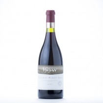 Vin Rosu Sec Vylyan Pinot Noir 2007