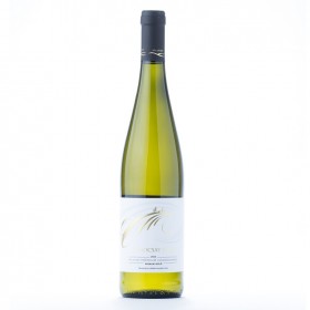 Vin Alb Sec Hilltop Chardonnay 2013