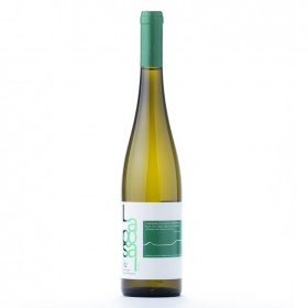 Vin Alb Sec Laposa Risling 2013