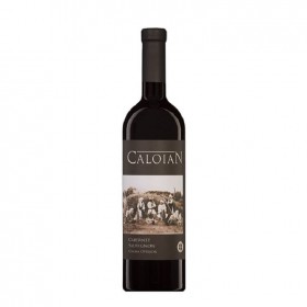 Vin Rosu Sec Crama Oprisor Caloian Cabernet Sauvignon 2013