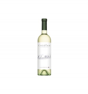 Vin Alb Sec Crama Oprisor Caloian Sauvignon Blanc 2017